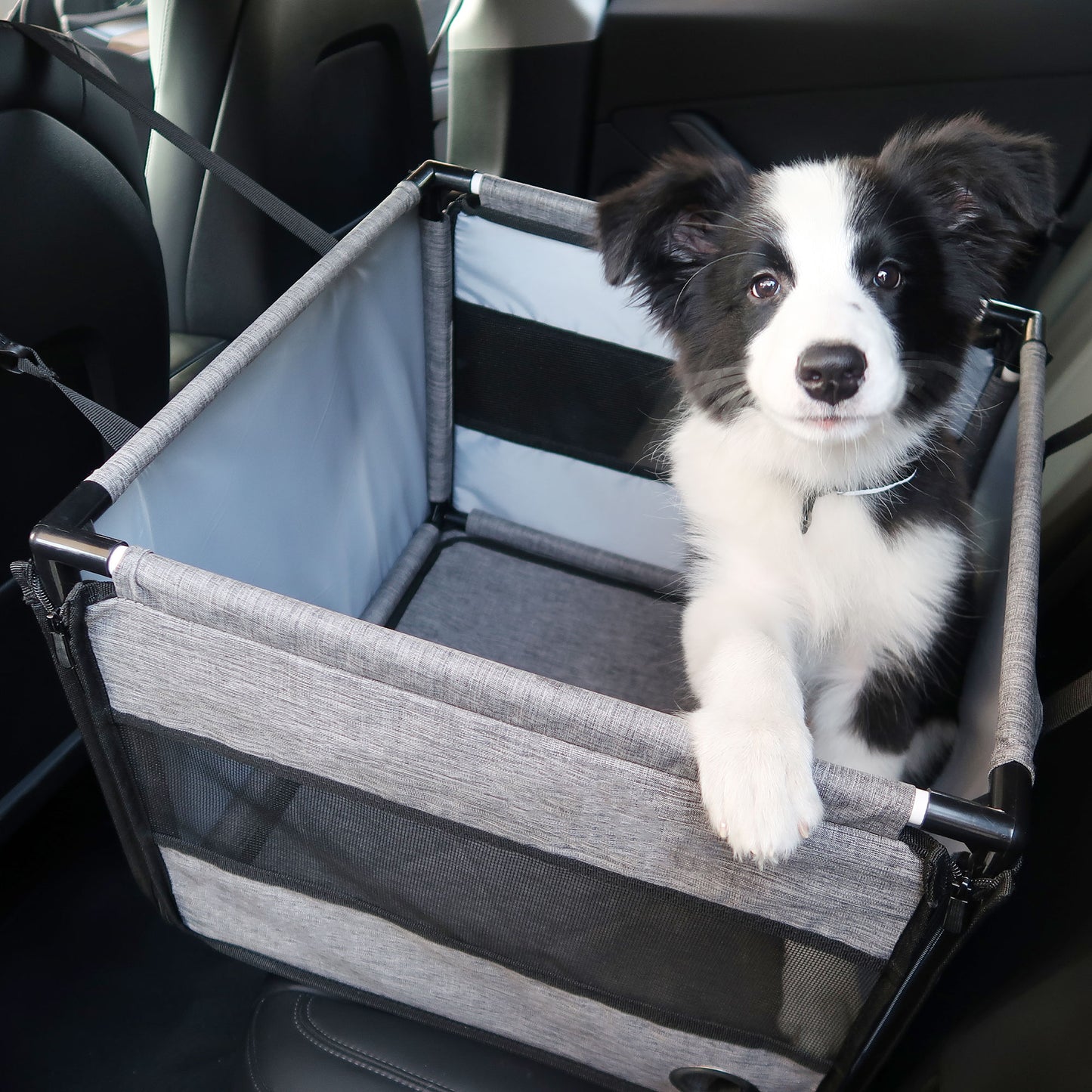 Car Pet Seat Stable Carriers Dog Accessories Safe Portable Puppy Travel Baskets Mesh Protector Waterproof Outdoor Pet Supplies