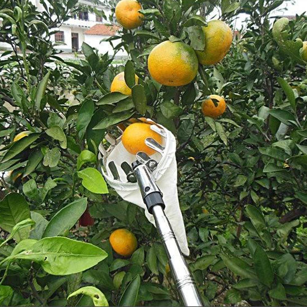 Metal Fruit Picker Orchard Gardening Apple Peach High Tree Picking Tool Fruit Catcher Collection Pouch Farm Garden Supplies