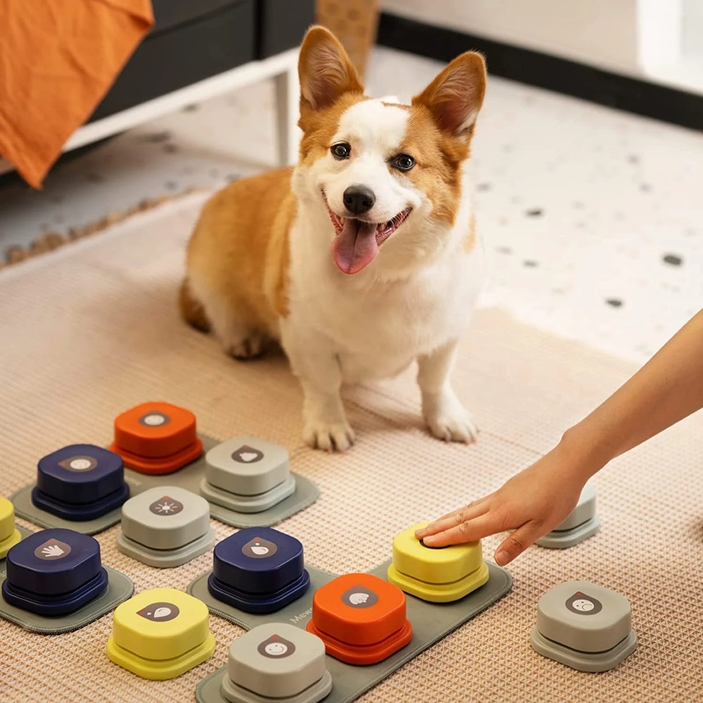 MEWOOFUN Dog Button Record Talking Pet Communication Vocal Training Interactive Toy Bell Ringer With Pad And Sticker Easy To Use