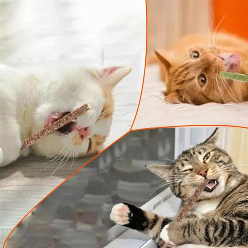 6Pcs/Box Natural Green And Healthy Cat Snacks Sticks Pet Cat Toys MolarToothpaste Stick Cleaning Teeth Mint Ball Catnip Lollipop