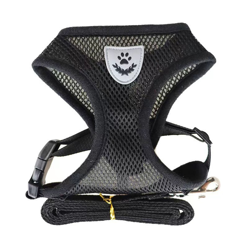Cat Harness For Anti-Escape Cat Collar For Cats Tent Pet Assessorises Collar Bow Dog Harness Cat Antiescape  Cat Arnet Cat Leash