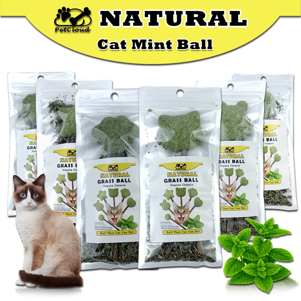 Cute Shape Fresh Cat Catnip Toys Cat Mint Natural Safety Edible Cute Shape Pet Mint Lollipop Catnip Ball Cat Toy Clean Teeth